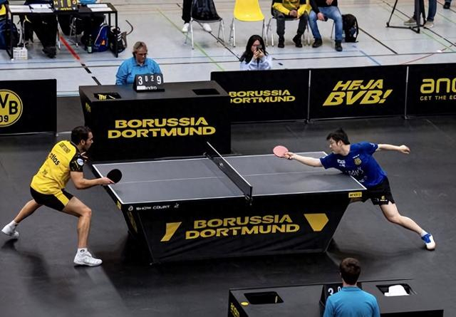 开云-队友不给力！樊振东遗憾输球，“老朋友”现场助阵，将冲击第二冠|萨尔布吕肯|巴黎奥运会|十五运会|萨尔布吕肯俱乐部|卡尔松_新浪体育_新浪新闻