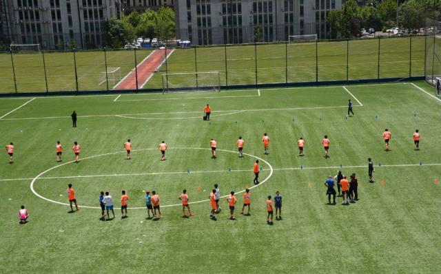 开云在线-青岛海牛，守住中国足球寒冬中的一道光