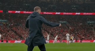 开云娱乐-【世预赛】斯凯利处子球凯恩破门，图赫尔三狮开门红